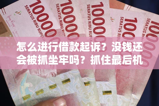 北京怎么进行借款起诉？没钱还会被抓坐牢吗？抓住最后机会！