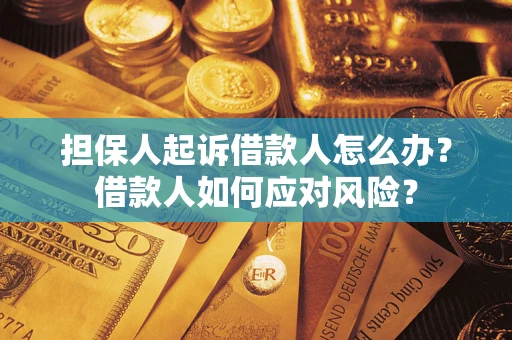 北京担保人起诉借款人怎么办？借款人如何应对风险？