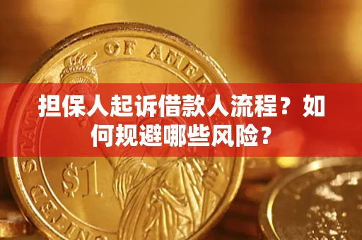 北京担保人起诉借款人流程？如何规避哪些风险？