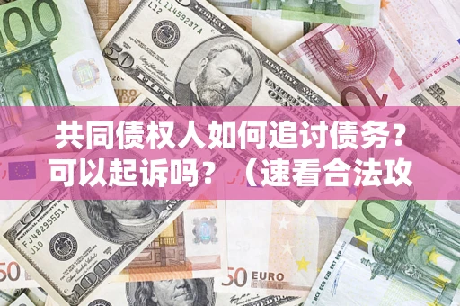 北京共同债权人如何追讨债务？可以起诉吗？（速看合法攻略）