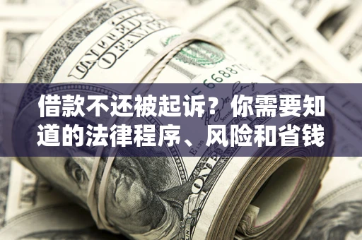 北京借款不还被起诉？你需要知道的法律程序、风险和省钱技巧